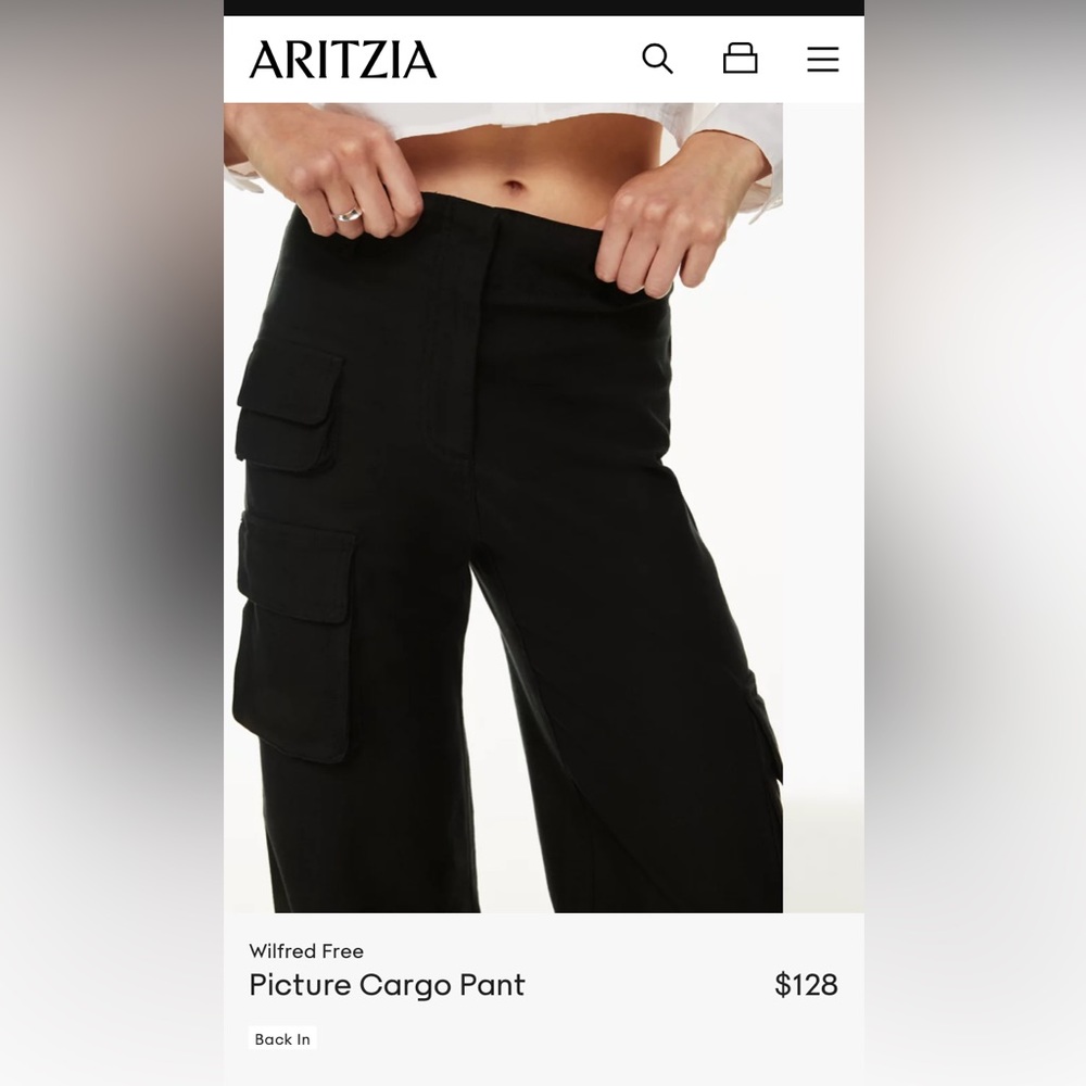 Aritzia Picture Pants Cargo